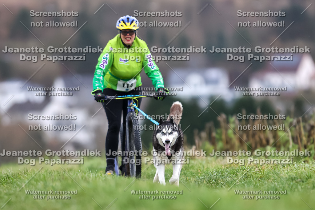 Dog Paparazzi - Herkules Race  2025-40 | Dog Paparazzi Jeanette Grottendiek Fotografie & Videografie - Realisiert mit Pictrs.com