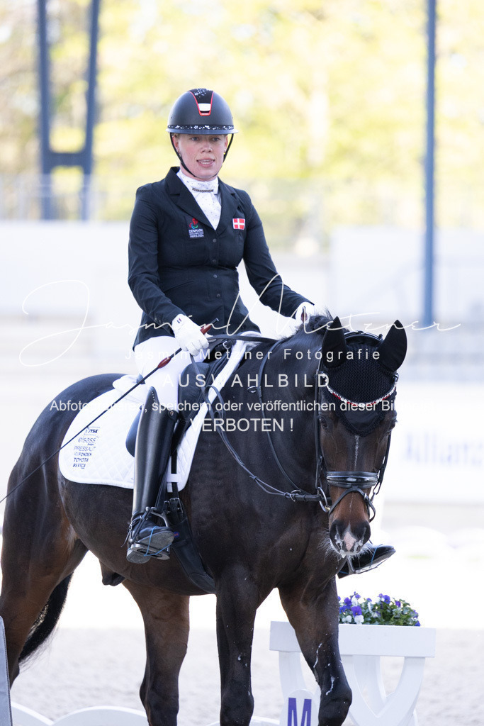 126A9397 | jasminmetznerfotografie