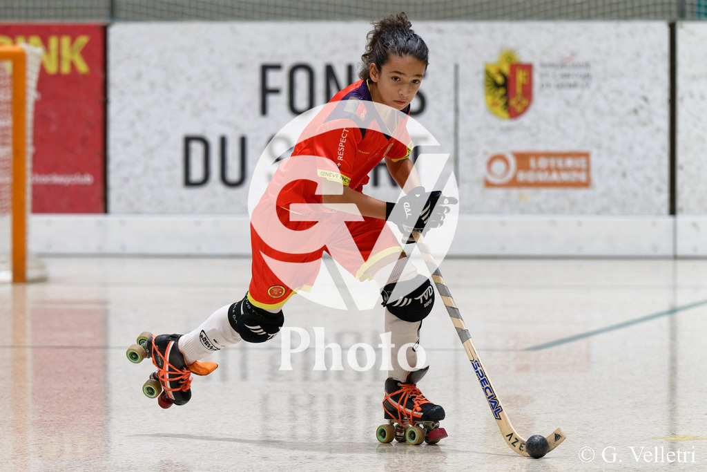 DSC_3003 | Velletri Photo