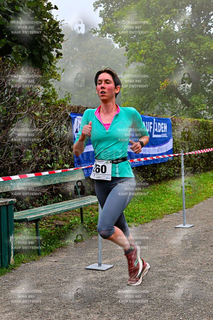 Z8N_1319 | la-psv - Realisiert mit Pictrs.com