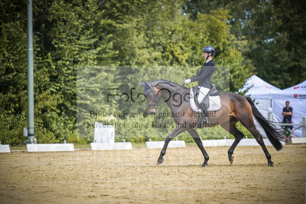DOS_3235 | Entdecke hochwertige Reitturnierfotos von Foto Oger. Professionell, emotional und authentisch – jetzt Lieblingsmomente im Shop bestellen.Deutschlandweite Turnierfotografie. - Realisiert mit Pictrs.com