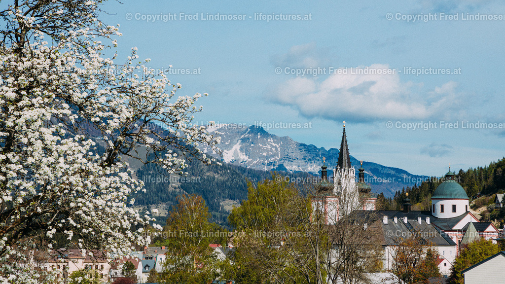 Mariazell Basilika Fruehling-29371 | Fotos und Fotoprodukte - Realisiert mit Pictrs.com
