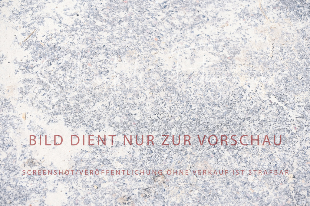 Schugtsche-Aluta25-58. Dressurprf.S1Kand.St.GeorgSpecial-48 | Schugtsche Fotografie - Realisiert mit Pictrs.com