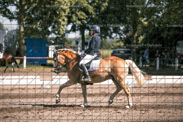 _W6A2904 | ronjaprokoschfotografie - Realisiert mit Pictrs.com