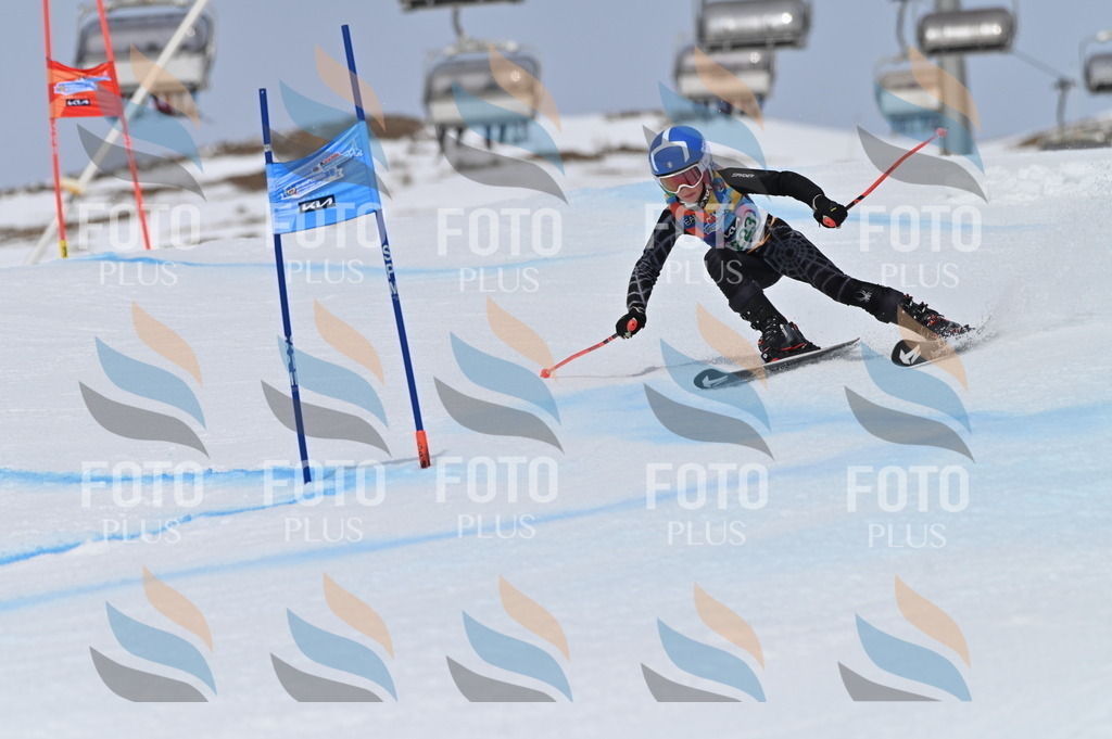 BGV_4380 | holidayphoto