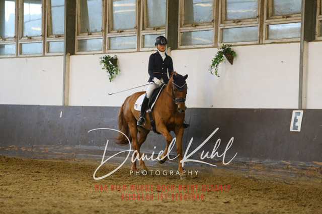 IMG_7264 | Turniersportfotografie; Pferdefotografie; Dressurfotografie