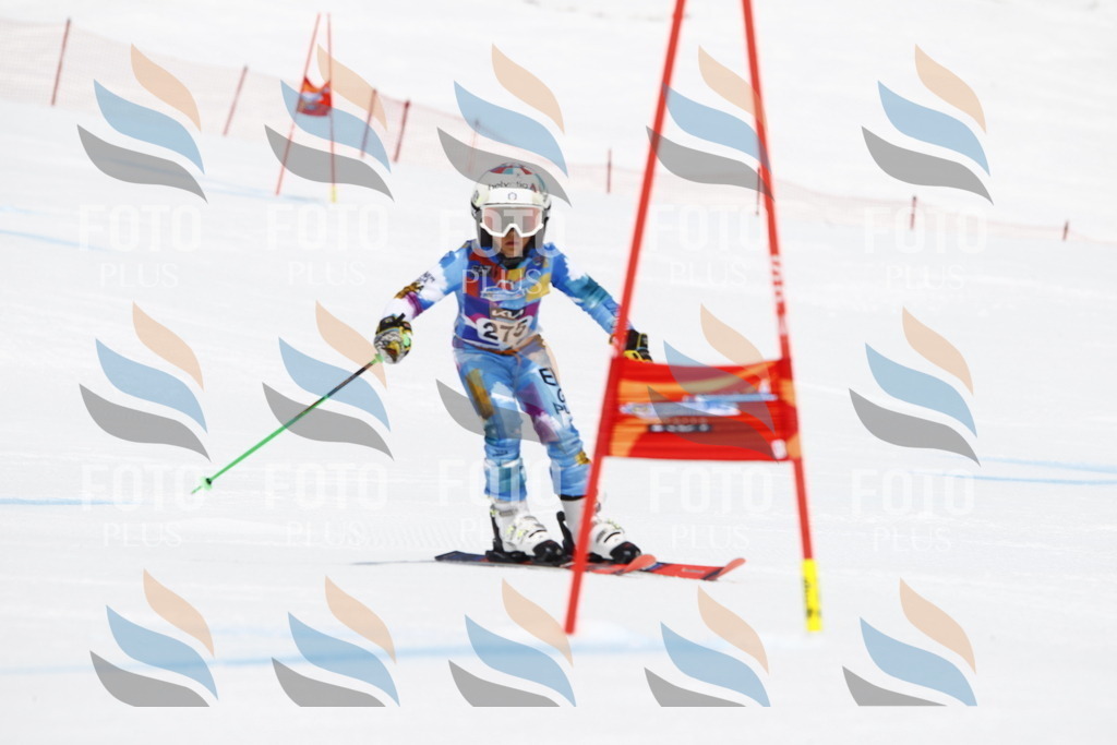 _U3G6895 | holidayphoto