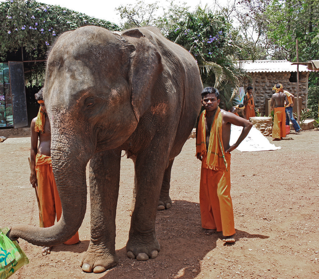 Goa 028a | ansichtssache