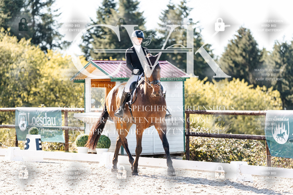 CK905646 | Turnierfotografie Pferdefotografie Trier Rheinland-Pfalz Pferdesport Reitsport Tierfotografie Sportfotografie Pferdevideo Pferdevideografie Equestrianvideography equestrianphotography  - Realisiert mit Pictrs.com