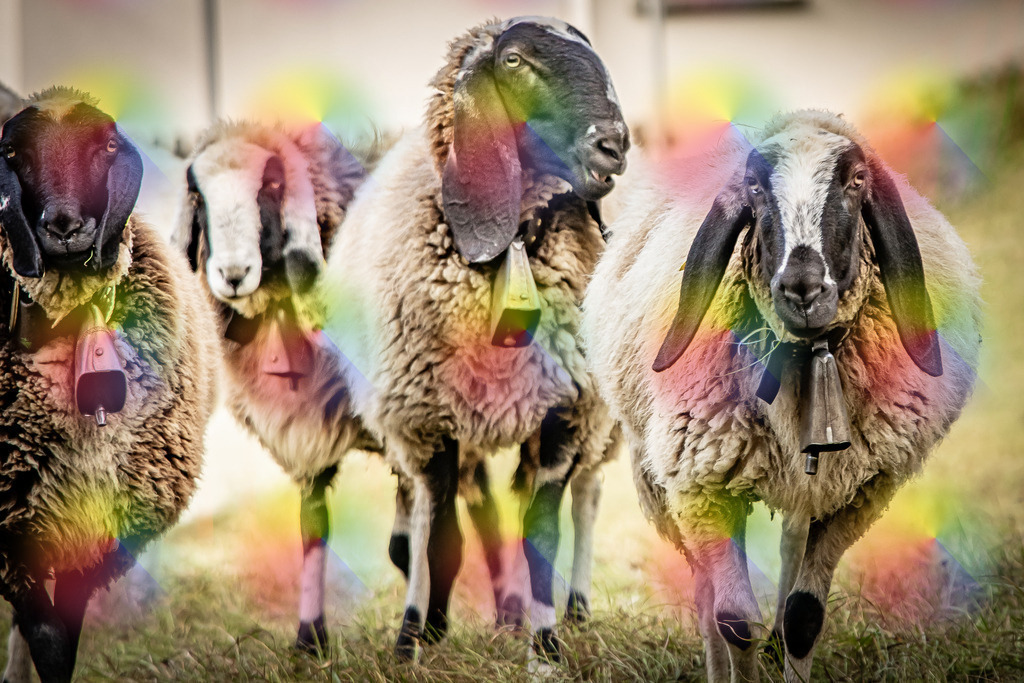 1M5A3680 | FineArtPrint, Hahnemühle, FeeGalerie, Fee Galerie, Fotokunst, Fotografie, Canonphotography, Bergfoto, Matterhorn, Rimpfischhorn, Allalinhorn, Saas-Fee, Wallis, Valais, Switzerland, Bergfotografie