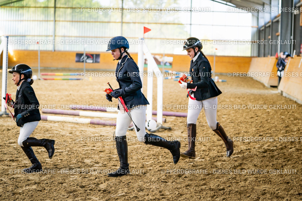 DSC01397 | Pferdegrafie