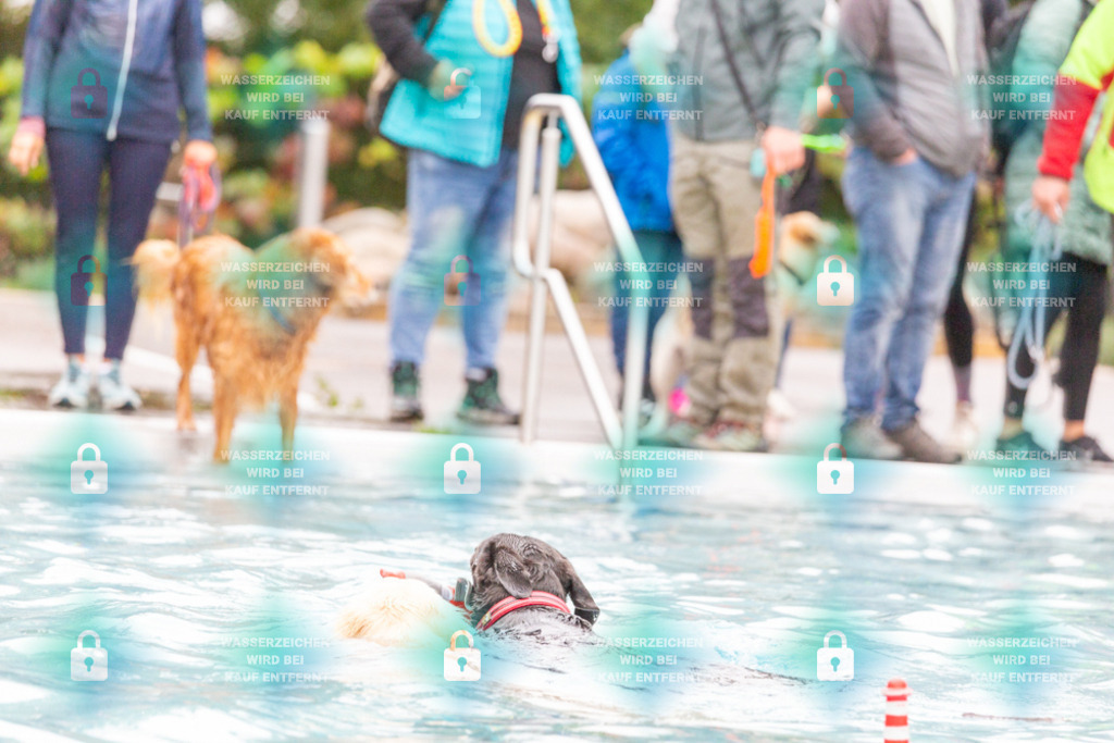 _HP_7182_1000o | HetPix, HetPix Fotodesign, Fotografie, Fotodesign, Webshop, Sportfotografie, Portraitfotografie, Onlineshop, Sportfotografie, Polch, Motorsportfotografie, Eventfotografie