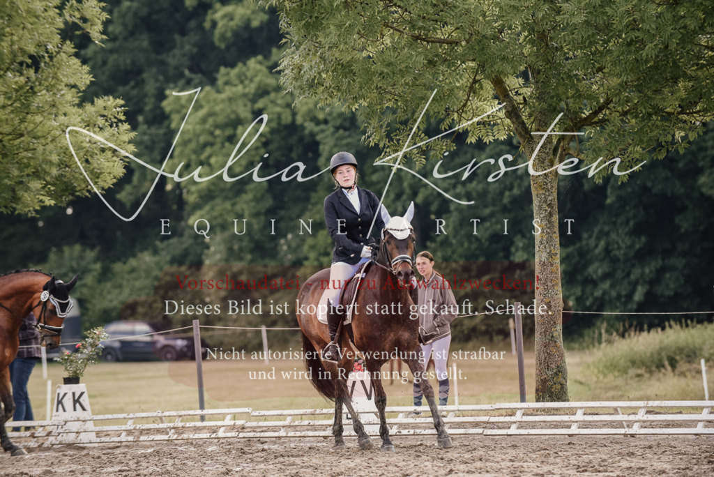 DSC_8189 | Pferde- und Turnierfotografie in Westsachsen. Pferdeportraits, Auftragszeichnungen und intuitive Kunst.