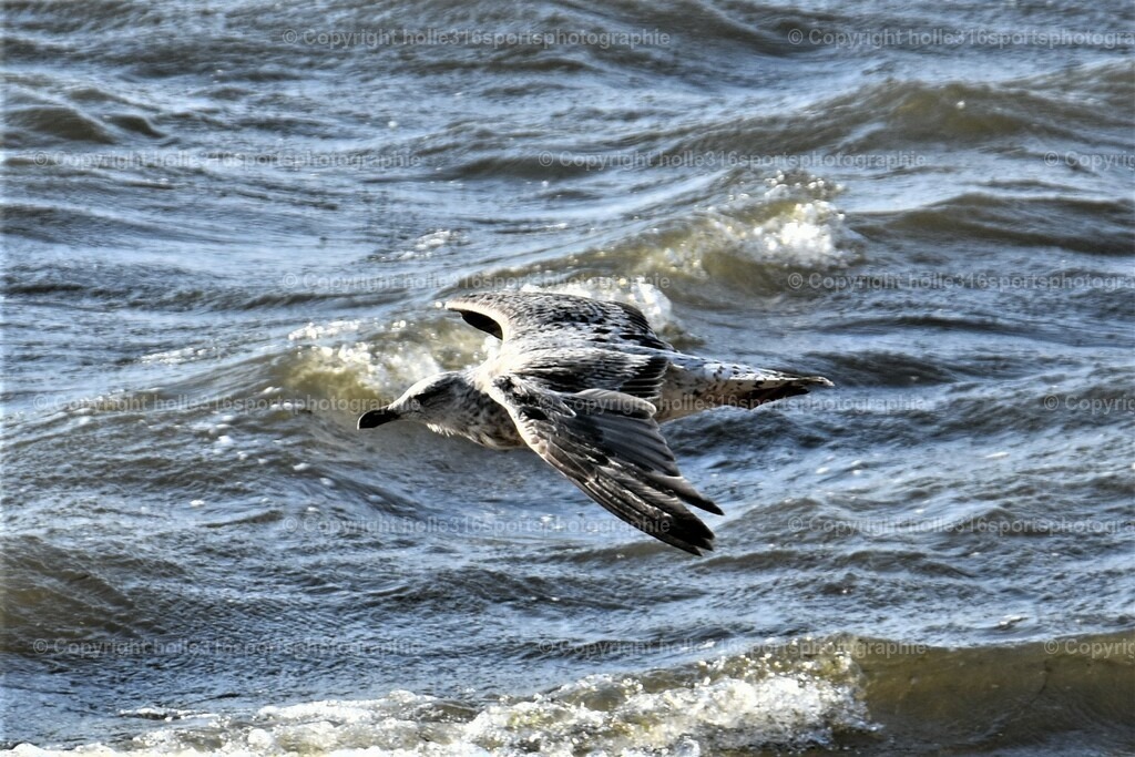 DSC_0036 (2) | Sportfotografie , Motorsport, Motoross, Reitsport, Mointainbike, Enduro,
Landschaft , Outdoor, Eventfotografie, Landschaft, Bilder online bestellen - Realisiert mit Pictrs.com