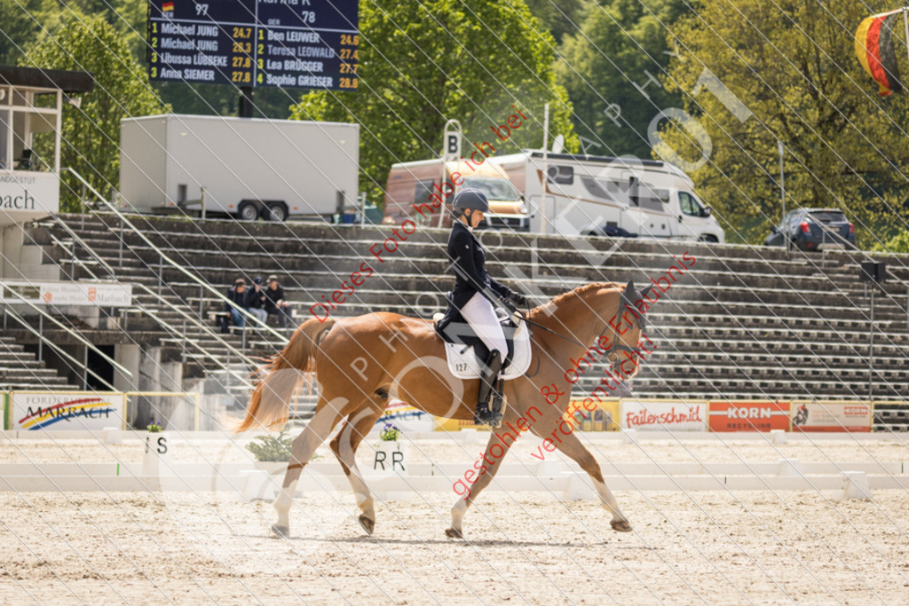 IMG_1485 | Hier findest Du viele Augenblicke aus den Bereichen der Turnier-, Sport- & Tierfotografie. Bilder mit deinem Liebling, Portrait-, Bewerbungs-, Businessbilder können ebenfalls schnell und einfach erstellt werden.