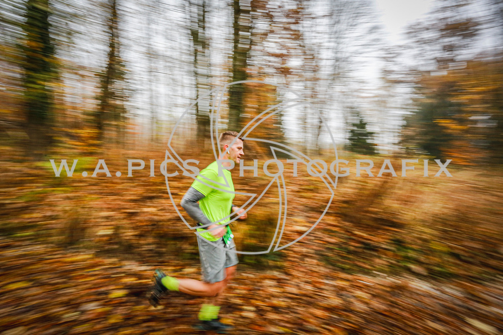 ..... | LEONDING,AUSTRIA,8.November 25, Kürnberglauf 2025  , Image shows: Photo: WAPICS / Andreas Willdoner