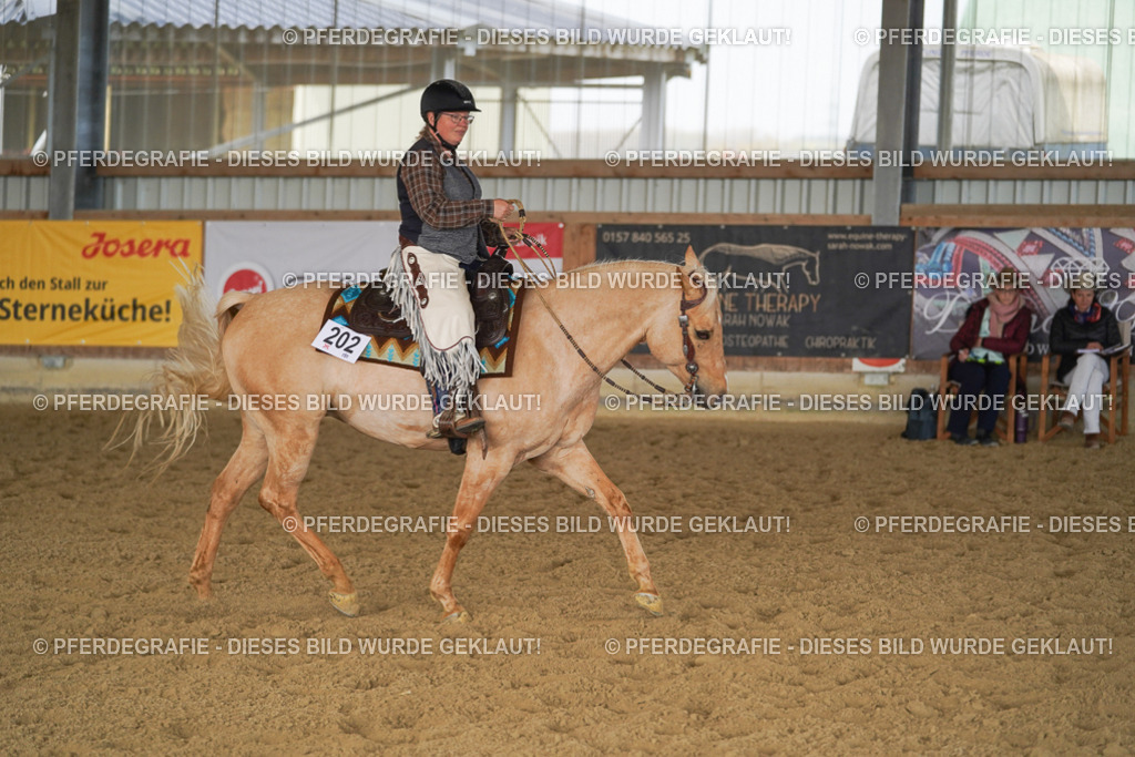 DSC00942 | Pferdegrafie