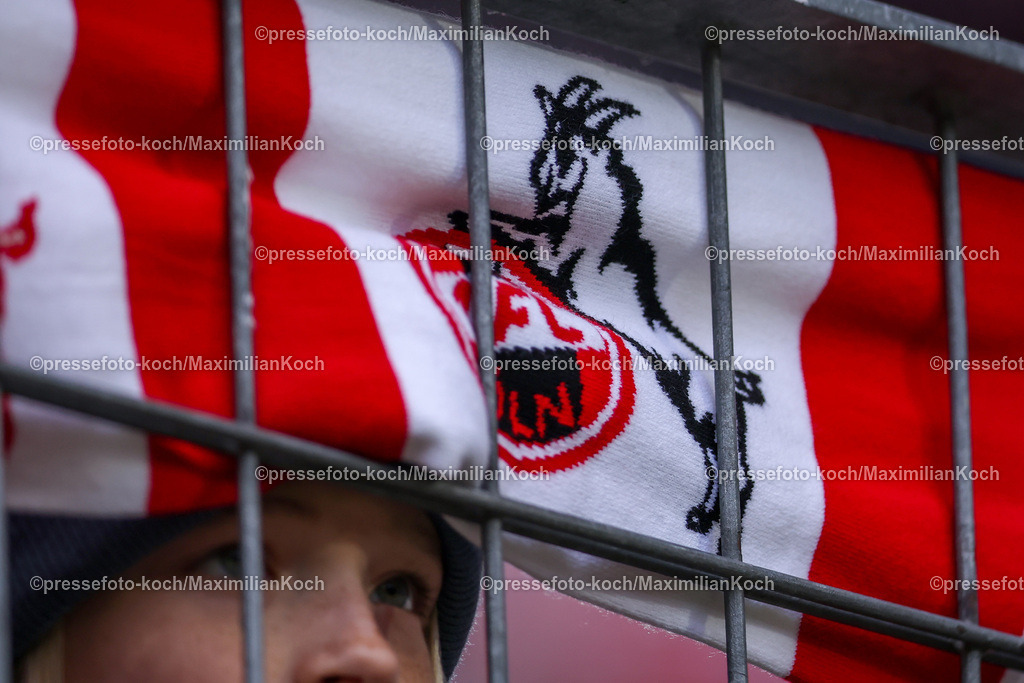 Koe09112402139 | 09.11.2024, 1. FC Köln - SpVgg Greuther Fürth, 2. Fußball Bundesliga, RheinEnergieSTADION, Saison 2024 2025: Feature FCFans Fans Fan Fanschal Schal Schalparade Kölner Nahaufnahme Symbolbild Symbolisch Besucher Zuschauer DFB regulations prohibit any use of photographs as image sequences and or quasi-video.