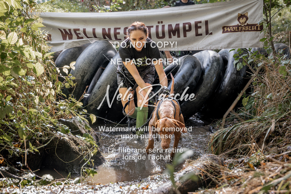 nelerasche_Hunsrück2026_Sa1400-1500_381 | nelerasche