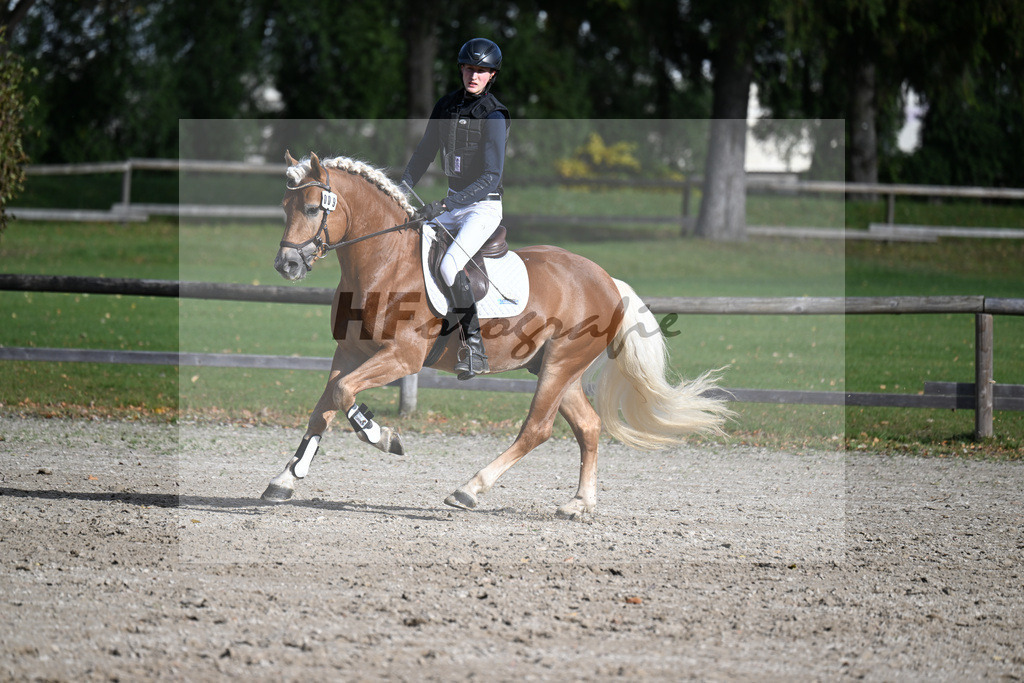 Kat-Nr. 9 Whisky Coke v. Wyno_Wendel_43250579 | hf-fotografie - Realisiert mit Pictrs.com