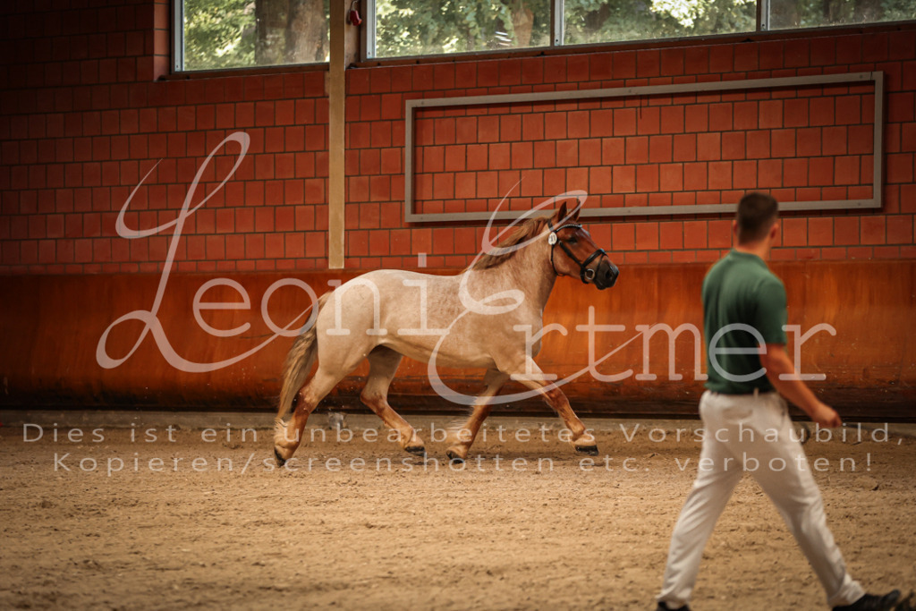 SaFL00081 | Leoni Ertmer Photography - Realisiert mit Pictrs.com