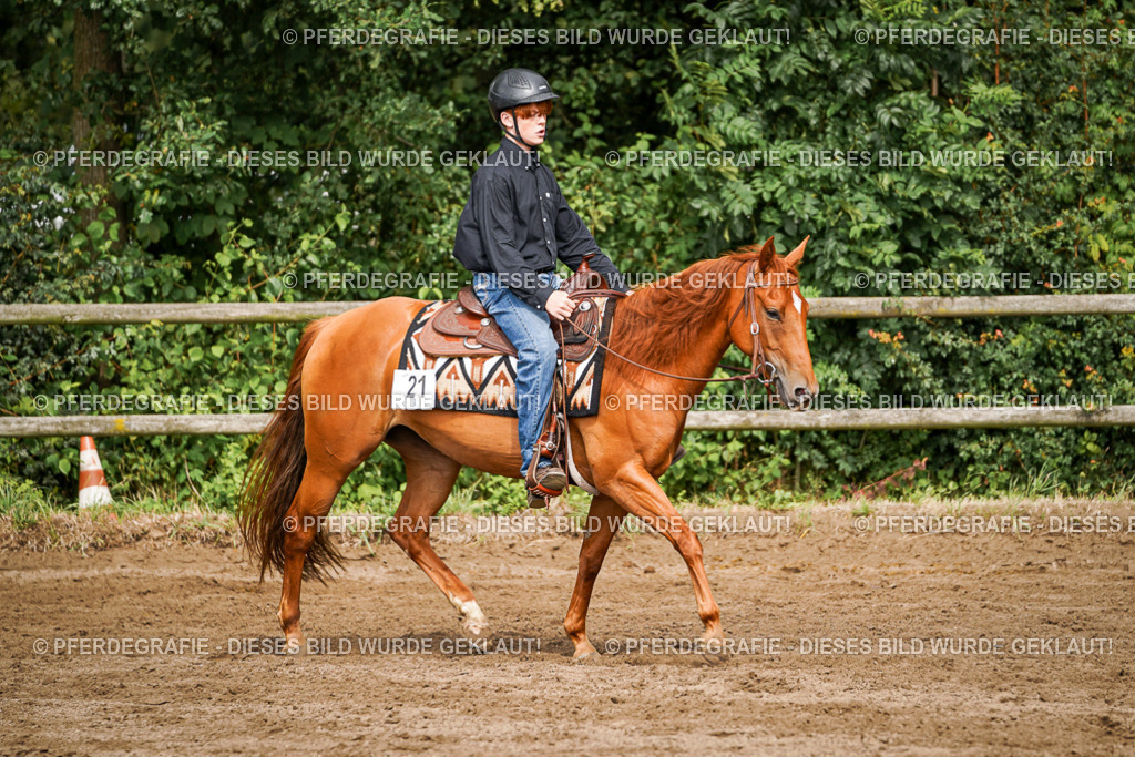 DSC09169 | Pferdegrafie