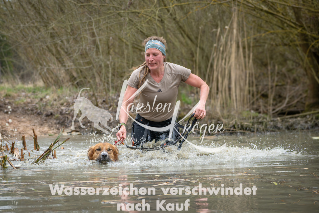 1330_ZZ99584 | kk-dogfotos