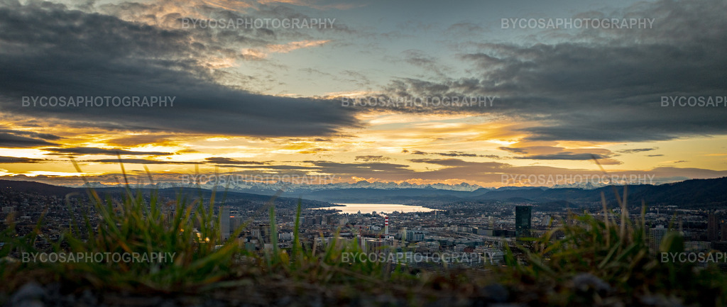 Golden Skies Over Zürich _ Waid View | Ein majestätischer Sonnenuntergang über Zürich, eingefangen vom legendären Aussichtspunkt Waid. Hohes Gras im Vordergrund verleiht der Szene eine filmische Tiefe, während sich die Stadt zum See und den am Horizont schimmernden Alpen hin öffnet. Der Himmel erstrahlt in Gold- und Silbertönen und schafft eine kraftvolle Atmosphäre der Ruhe und Erhabenheit.Dieser FineArt-Druck ist perfekt für alle, die Zürich, die Natur und die visuelle Dramatik der goldenen Stunde lieben. - Realisiert mit Pictrs.com