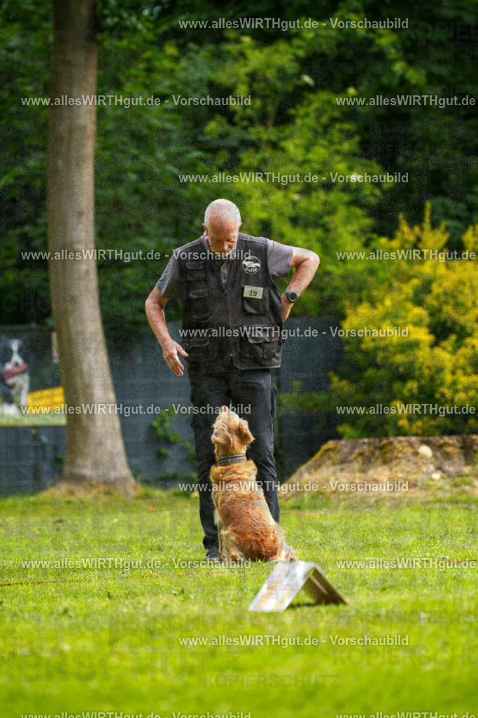@allesWIRTHgut_Tierfotografie - www.allesWIRTHgut.de - 093450-7R507361 | Professionelle Tierfotografie in Mönchengladbach von Daniel Wirth (allesWIRTHgut). Liebevolle & natürliche Bilder von Hunden & Katzen für unvergessliche Erinnerungen.