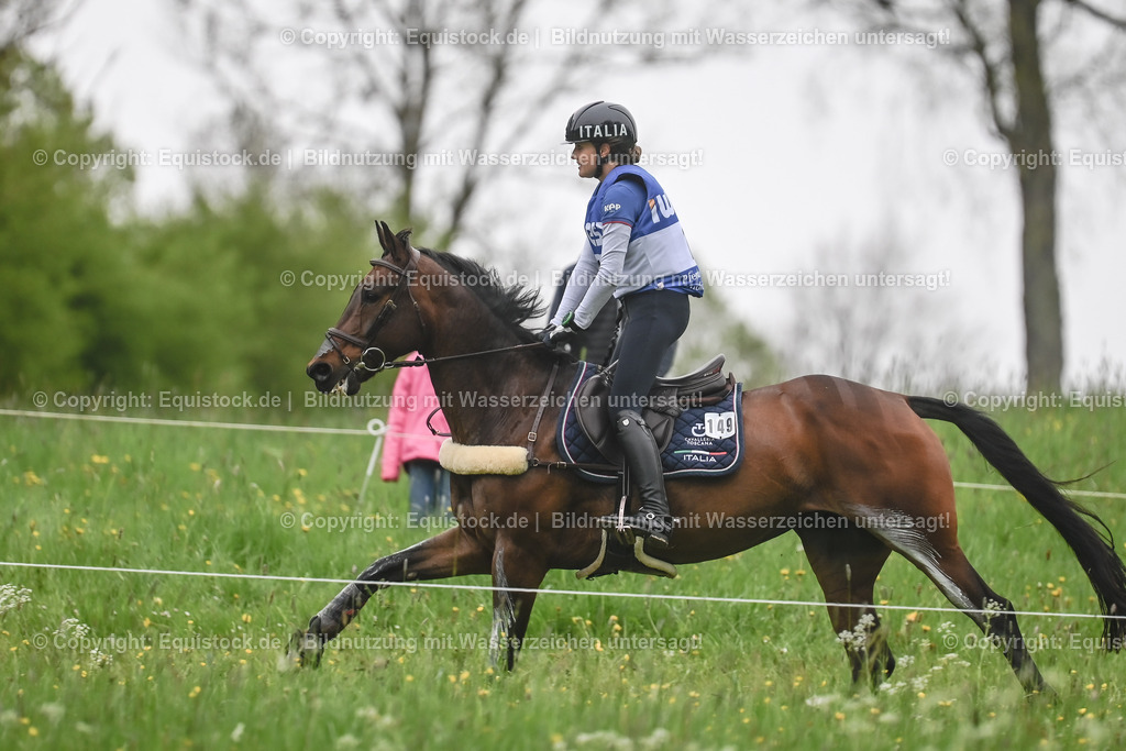 20230513_CCI4_Gelände_0205 | equistock
