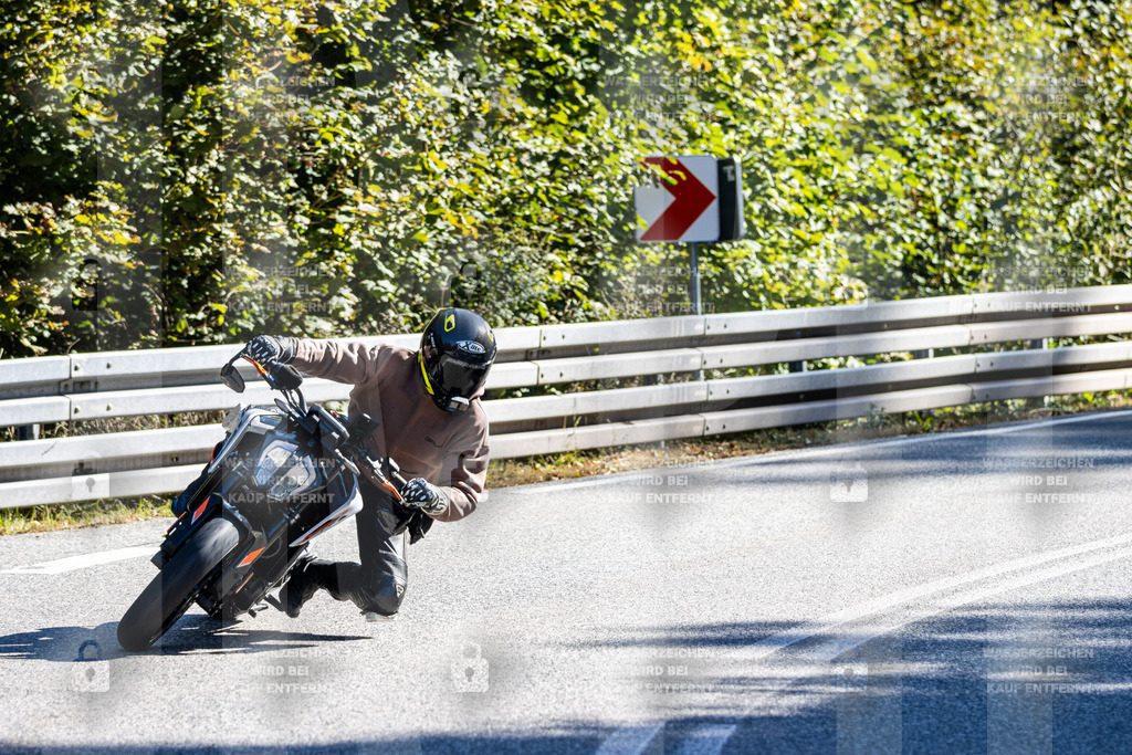 IMG_3229 | jrph - Realisiert mit Pictrs.com