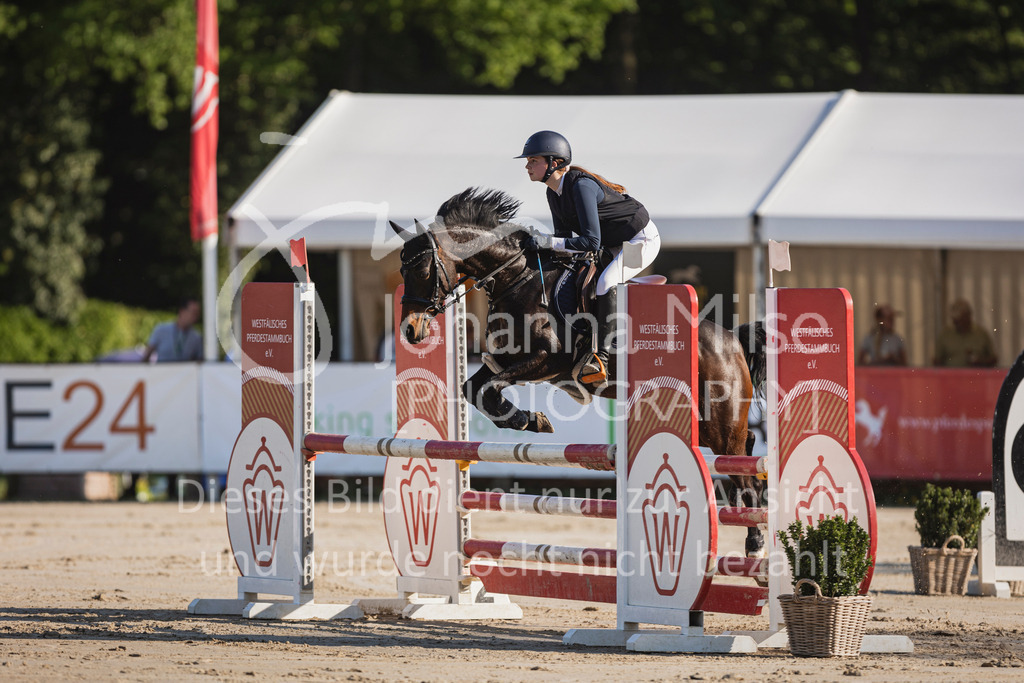 250501_MünsterHandorf_PonyTrophy-248 | Deine schönsten Turniermomente als professionelle Fotos! Entdecke hochwertige Pferdesport-Fotografie im Online-Shop. Jetzt Fotos finden & bestellen!