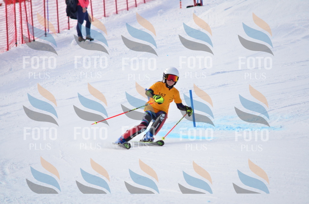 C7870 | holidayphoto