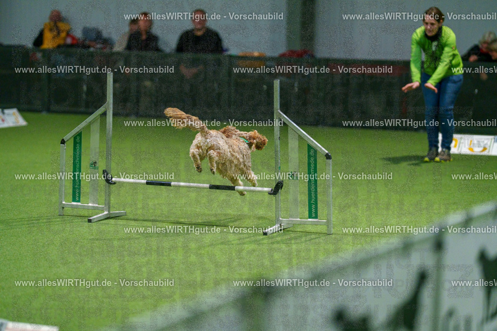 7R504488 | Professionelle Tierfotografie in Mönchengladbach von Daniel Wirth (allesWIRTHgut). Liebevolle & natürliche Bilder von Hunden & Katzen für unvergessliche Erinnerungen.