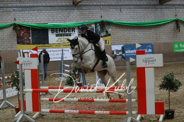 IMG_0739 | Turnierfotos kaufen im Webshop von Daniel Kuhl Photography – entdecke professionelle Reitsportfotos aus Turnieren & Events. Hochwertige Turnierbilder online bestellen & sichern. Jetzt Fotos von Reitsportturnieren kaufen!