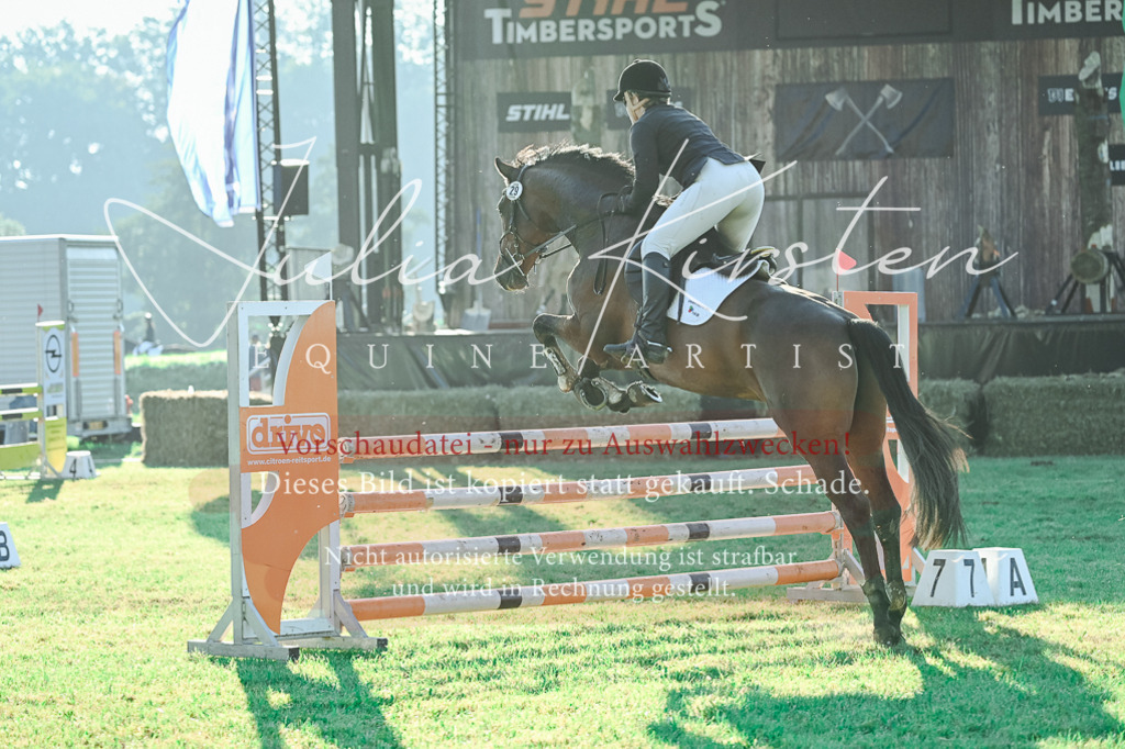 DSC_4365 | Pferde- und Turnierfotografie in Westsachsen. Pferdeportraits, Auftragszeichnungen und intuitive Kunst.