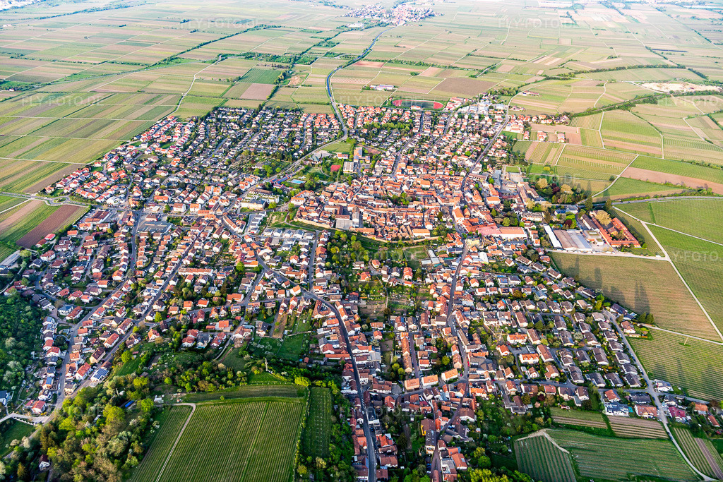 Luftbild: Ortsansicht am Rande von landwirtschaftlichen Feldern und Nutzflächen in Wachenheim an der Weinstraße im Bundesland Rheinland-Pfalz in Deutschland. Foto: IMG_106747.jpg vom 21.04.2018 durch Werner Riehm/FLY-FOTO.de