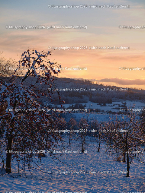 phototitusgraphy Winterimpressionen-Edition 001 | Fotokunstarbeit aus der INSTAGRAM-Gallerie auf titusgraphy.eu - Realisiert mit Pictrs.com