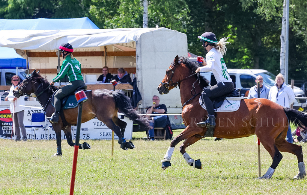 IMG_1608 | Reitsport Reiten