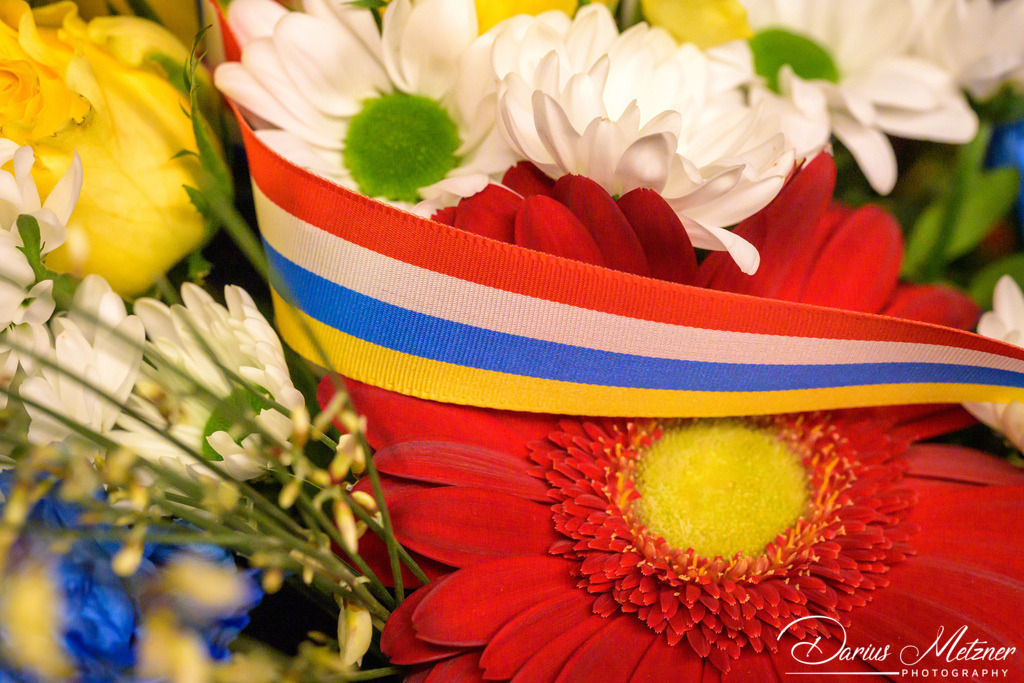 Fastnacht in Mainz | Fastnacht in Mainz am Rhein