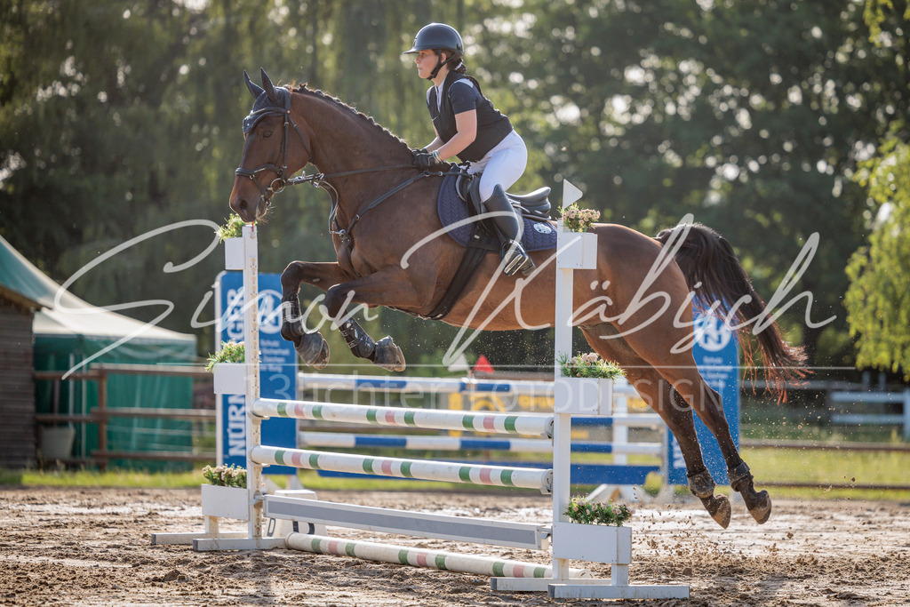 20260529-_3LI0833 | Tierfotografie Pferde, Hunde, Katzen, Haustiere.
Turnierfotografie Reitturniere, Reiten, Springreiten, Dressur in Hanau, dem Main-Kinzig-Kreis und dem Rhein-Main- Gebiet um Frankfurt