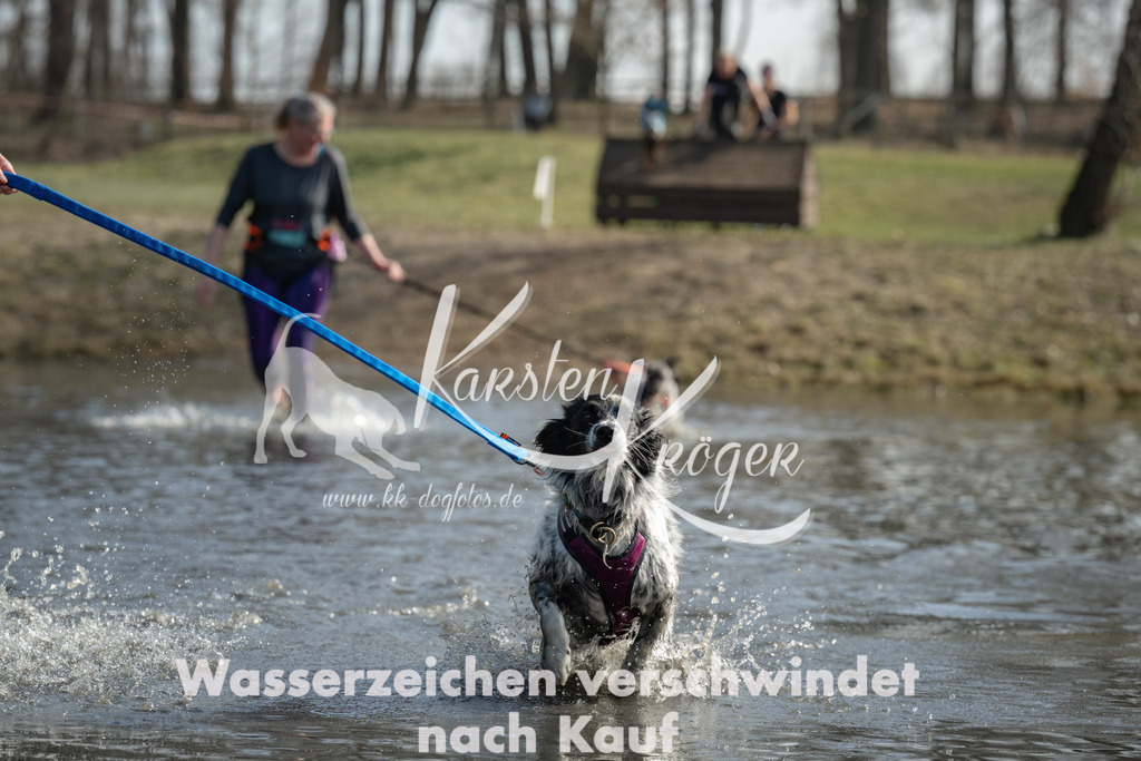 1303_ZZ94270 | kk-dogfotos