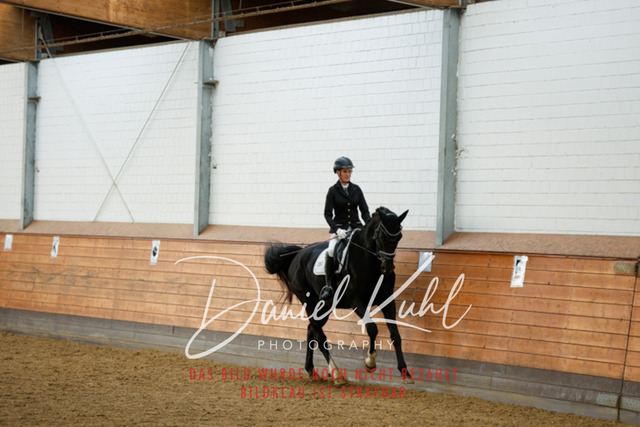 _62_6672 | Turniersportfotografie; Pferdefotografie; Dressurfotografie