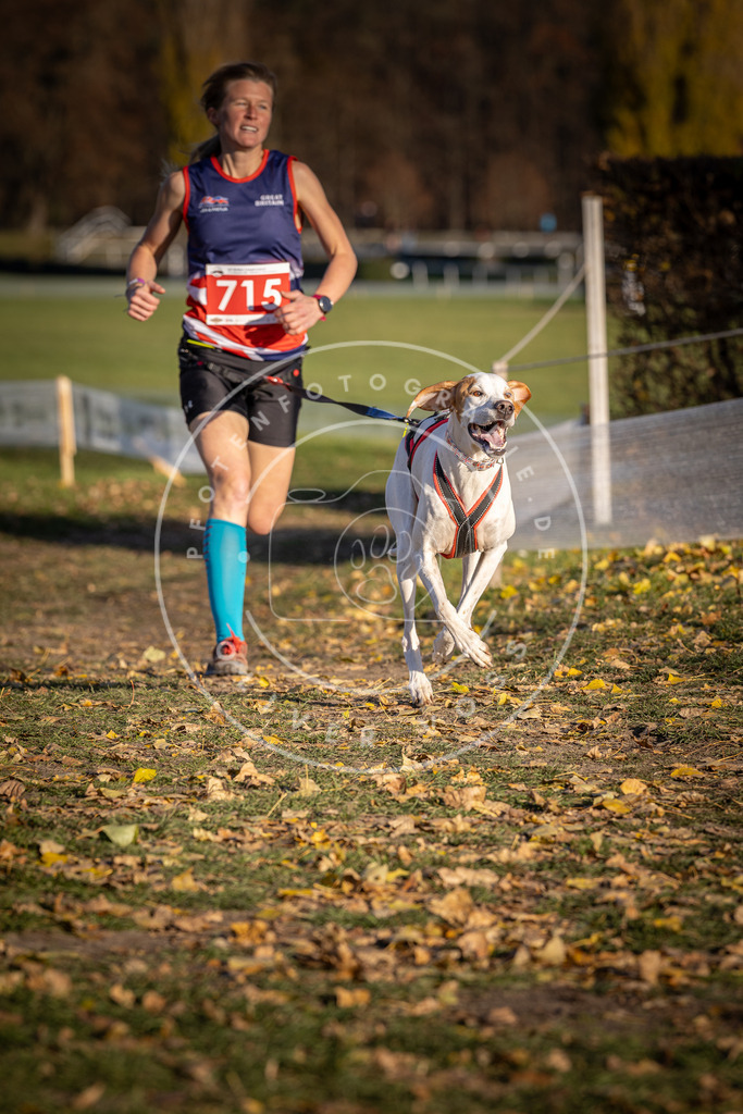 CaniXpix_DV3A1725 | Hundefotografie, Tierfotograf, Pfotenfotografie, Fotoshooting Hund, Hunde Portrait, Hundesport, Hundeportraits, Heideshooting, Hunde, Sportfotograf, Hundefotograf, Turnierhundsport, THS,  - Realisiert mit Pictrs.com