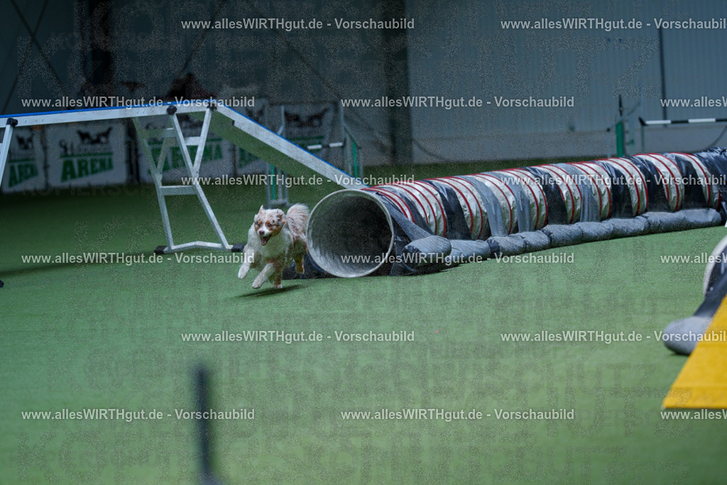 @allesWIRTHgut_Tierfotografie - www.allesWIRTHgut.de - 2604251218-7R501334 | Professionelle Tierfotografie in Mönchengladbach von Daniel Wirth (allesWIRTHgut). Liebevolle & natürliche Bilder von Hunden & Katzen für unvergessliche Erinnerungen.