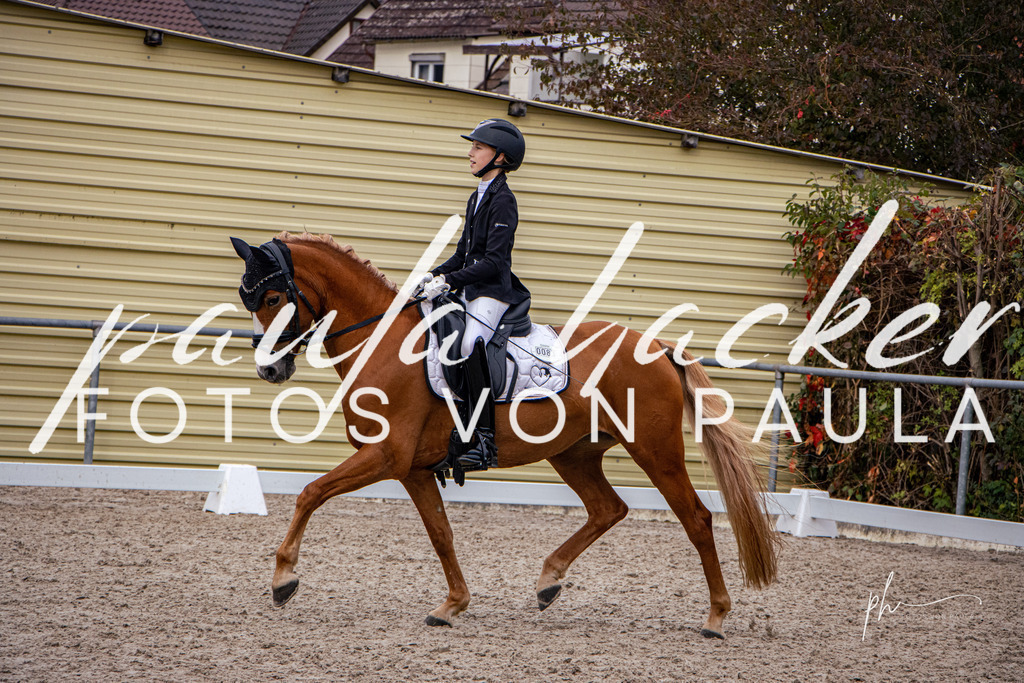 IMG_1442 | Erleben Sie dynamische Sport- und emotionale Tierfotografie in Süddeutschland mit Fotos von Paula. Spezialisiert auf Pferde- und Hundefotografie sowie Sportevents. Kontaktieren Sie mich für einzigartige und ausdrucksstarke Bilder Ihrer besonderen Momente. - Realisiert mit Pictrs.com