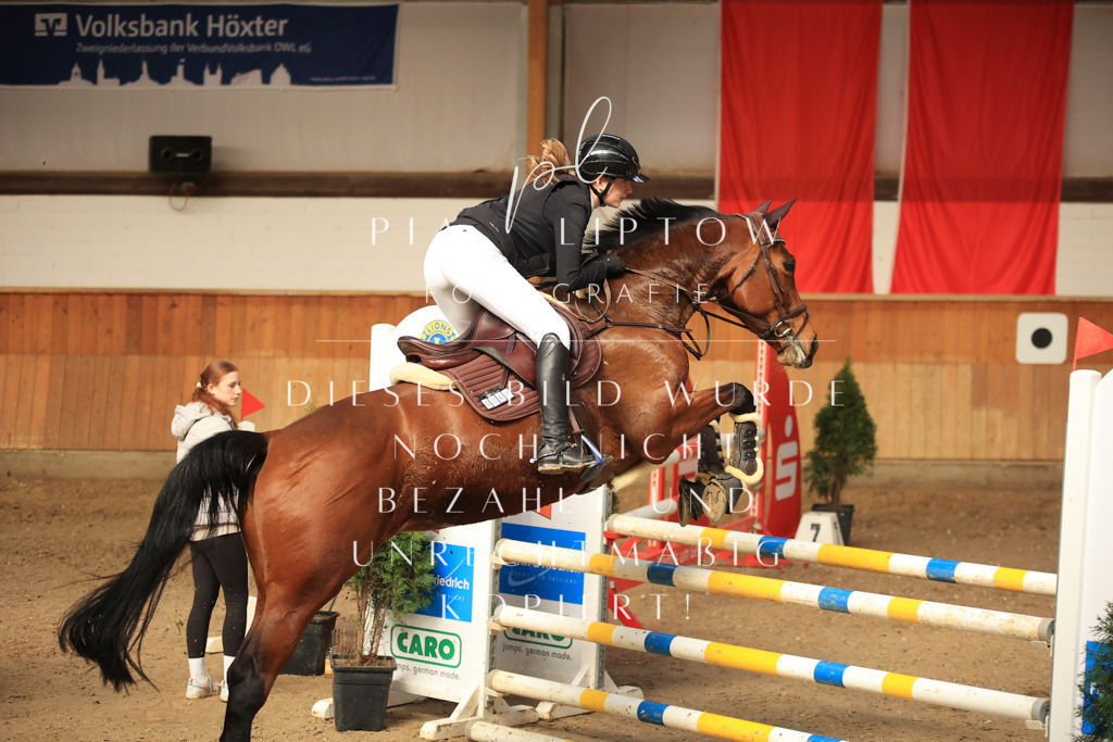 IMGT6005 | pl-fotografie