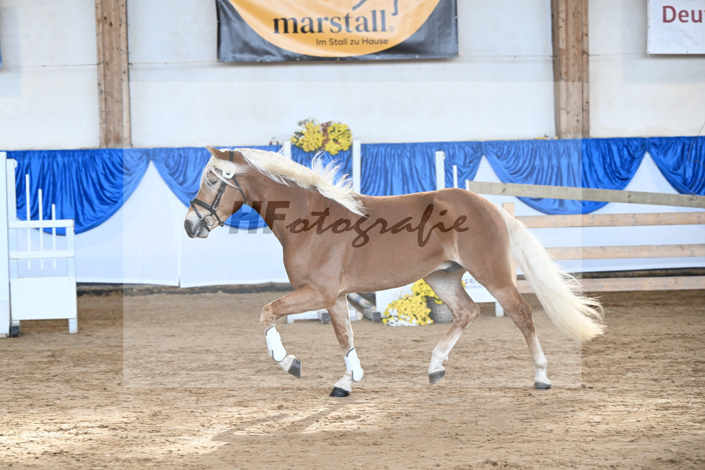 Kat-Nr. 5 Balios AW v. Bugatti_Wolf_48250122 | hf-fotografie - Realisiert mit Pictrs.com