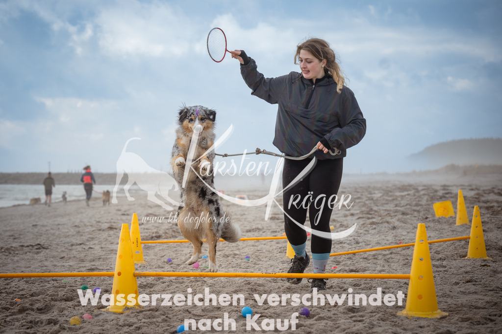 1203_ZZ93841 | kk-dogfotos