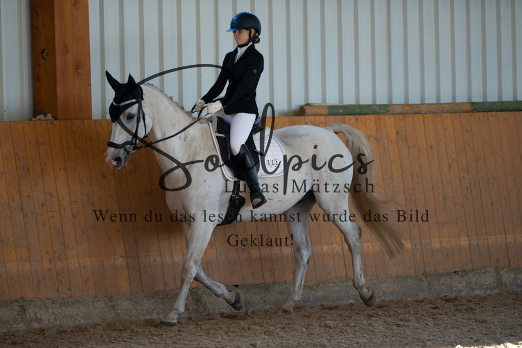 A7V01660 | Turnier/Reitfotograf